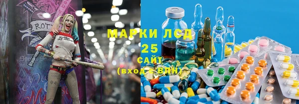 ГАЛЛЮЦИНОГЕННЫЕ ГРИБЫ Осинники